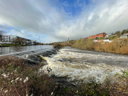 River Lee, Cork